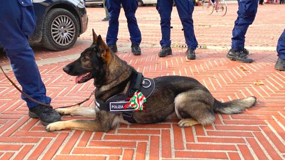 polizia locale di vicenza