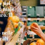 Prezzi come nel 1984. Meno male che c’è l’euro. Il carovita si combatte soprattutto nelle urne elettorali