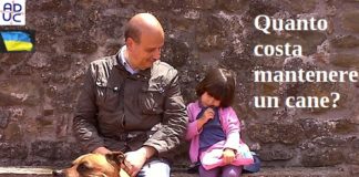 Domande da farsi: quanto costa mantenere un cane? cane