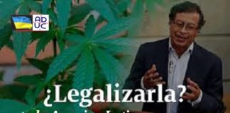 Legalizzare le droghe in America Latina. Neo-presidente della Colombia