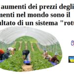 Gli aumenti dei prezzi degli alimenti nel mondo sono il risultato di un sistema ‘rotto’