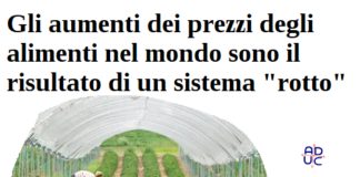 Gli aumenti dei prezzi degli alimenti nel mondo sono il risultato di un sistema ‘rotto’