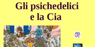 Gli psichedelici e la Cia