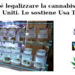 Perché legalizzare la cannabis negli Stati Uniti. Lo sostiene Usa Today