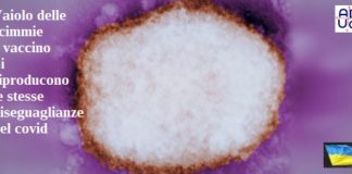 Vaiolo delle scimmie e somministrazione vaccino. Si riproducono le stesse diseguaglianze del covid