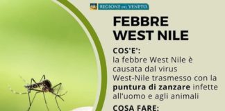 West Nile: i consigli della direzione Prevenzione della Regione Veneto west nile
