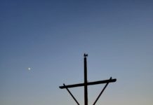 Sull’Altopiano del Faedo al tramonto un’escursione sulle splendide colline di Monte di Malo tra racconti di natura e storia locale Altopiano del Faedo al tramonto