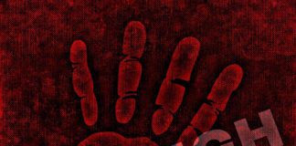 Educare alla bellezza per dire ‘no alla violenza’