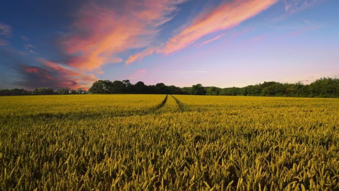 Politica agricola comune (Pac)