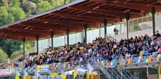 Info biglietti sesta giornata: Arzignano Valchiampo – Trento domenica 2 ottobre 2022, ore 17.30, Stadio “T. Dal Molin” Arzignano Valchiampo, Stadio “T. Dal Molin”