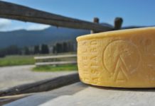 Asiago Dop, Made in Malga: edizione da record nel segno della qualità made in malga