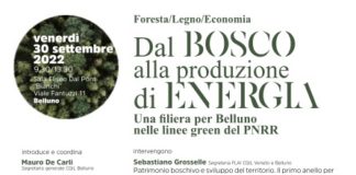 Una filiera dal bosco e per la produzione di energia, Cgil Veneto: per Belluno è nelle linee green del Pnrr Bosco e energia