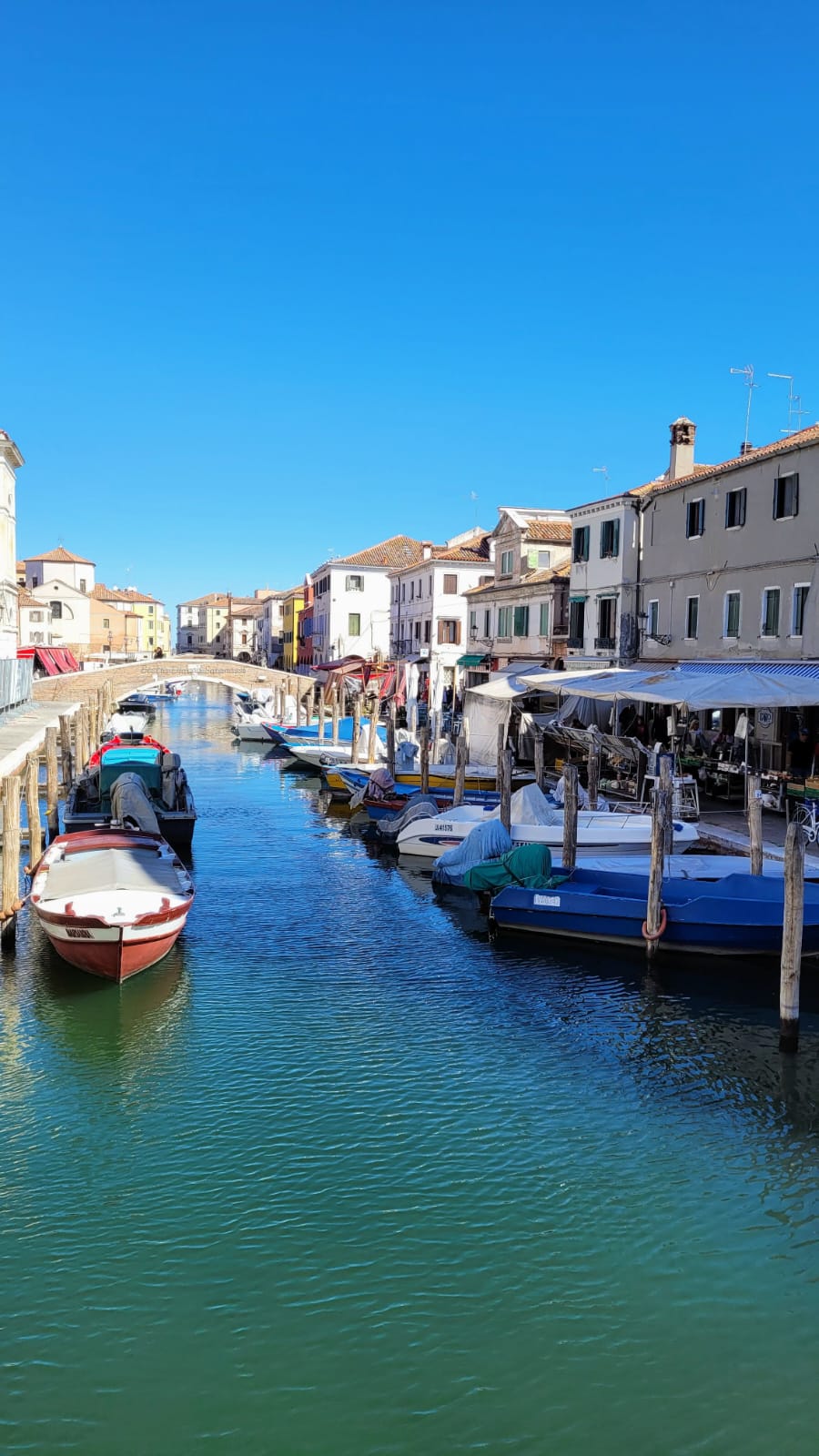 chioggia