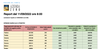Covid Veneto 11/9: 1.223 casi (-662), 1 morto (-2). A Vicenza 259 casi (-155) e 0 morti. Dati e tabelle province Dati casi Covid per provincia in Veneto all'11 settembre ore 8
