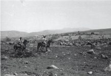 Giornata Europea della Cultura Ebraica 18 settembre: rinnovamento del Kibbutz Shamir dall’agricoltura all’ottica a livello internazionale nella… memoria Kibbutz Shamir, come era nel 1947