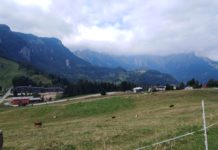 Recoaro Mille, tra natura e delizie nelle Piccole Dolomiti Recoaro Mille