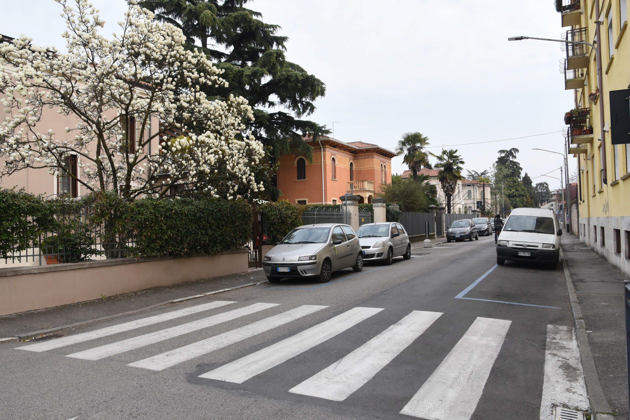 Via Tomaso Formenton (Vicenza-Toniolo Ilaria-Colorfoto per ViPiù)