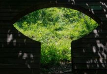 Vicenza, “Ambiente, Clima, Futuro”: mostra fotografica a tema ambientale al Chiostro della Chiesa di San Lorenzo ambiente clima fututro mostra foto vicenza