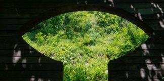 Vicenza, “Ambiente, Clima, Futuro”: mostra fotografica a tema ambientale al Chiostro della Chiesa di San Lorenzo ambiente clima fututro mostra foto vicenza