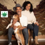 Usa – Le startup di cannabis dovrebbero avere le stesse opportunità di altre aziende