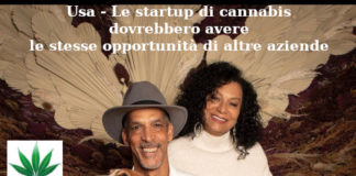 Usa – Le startup di cannabis dovrebbero avere le stesse opportunità di altre aziende
