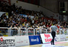 Basket, Civitus Allianz Vicenza pronta per la nuova stagione: roster definitivo, novità e prossimi appuntamenti basket vicenza