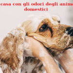 In casa con gli odori degli animali domestici odori