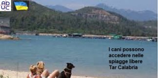 I cani possono accedere nelle spiagge libere. Tar Calabria