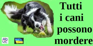 Tutti i cani possono mordere. Come conviverci