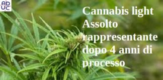 Cannabis light. Assolto rappresentante dopo 4 anni di processo