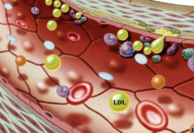 Rotzo e Stoccareddo paesi colesterolo free: è una questione di Dna. Presentata in Provincia di Vicenza ricerca genetica colesterolo