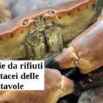 Batterie da rifiuti di crostacei delle nostre tavole