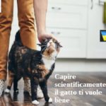 Capire scientificamente se il gatto ti vuole bene