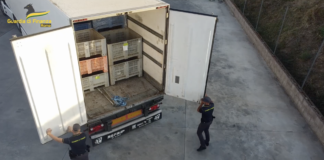 Camion con 6 quintali di Hashish sequestrato da Gdf a Roma: arrestati 2 spagnoli sei quintali di hashish