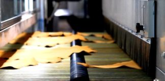 Congresso europeo per promuovere lo sviluppo sostenibile del settore conciario