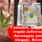 Cannabis. Il mercato legale influenza e danneggia quello illegale. Ricerca