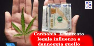 Cannabis. Il mercato legale influenza e danneggia quello illegale. Ricerca