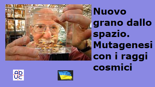 mutagenesi spaziale