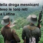 I cartelli messicani della droga hanno esteso le loro reti in America Latina cartelli messicani