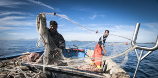 Resilienza comparto pesca: nuovi sbarchi e opportunità per la filiera alimentare