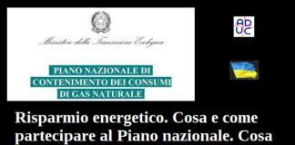Risparmio energetico. Cosa e come partecipare al Piano nazionale. Cosa lo Stato non deve fare