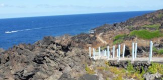 Codici: consumatori senza diritti, la giustizia si sta dimenticando di loro