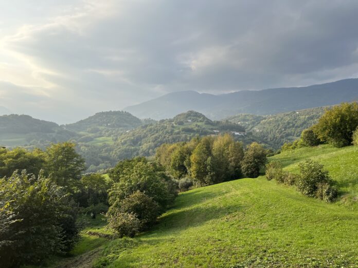 Lungo il Cion e tra i colli del vino