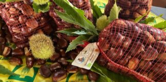 A San Zeno di Montagna (VR) la festa del Marrone Dop: le date di ottobre e novembre Marrone dop