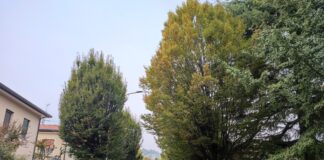 Montebello Vicentino. al via abbattimento alberi a rischio caduta: prime operazioni al cimitero e in via Cederle abbattimento alberi