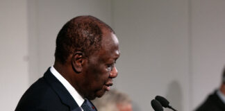 Airone Seafood al Business Forum di Assafrica: tra Italia e Africa, fare impresa si può Airone Seafood - impresa in Africa