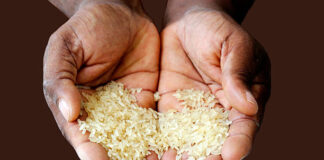 Sconfiggere la fame attraverso la cultura dell’alimentazione responsabile Agenda 2030, Sconfiggere la fame nel mondo