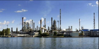 Eni: concluso l’approvvigionamento di olio di palma nelle bioraffinerie di Venezia e Gela per la produzione di biocarburanti idrogenati eni