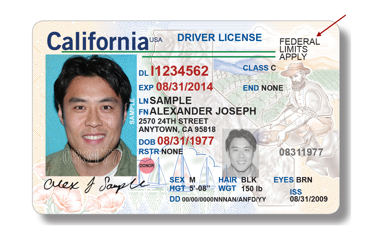 Carta di identità o patente di guida in California (foto di repertorio)