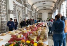 Tripudio di formaggi a Piazzola sul Brenta: 14 i formaggi vicentini premiati a Caseus Veneti che conferma il successo del nuovo format Caseus Veneti, lo show dei formaggi